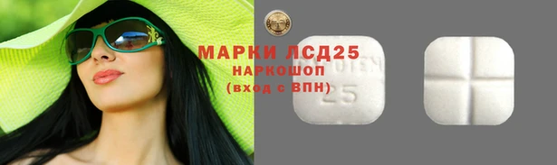 стаф Майский