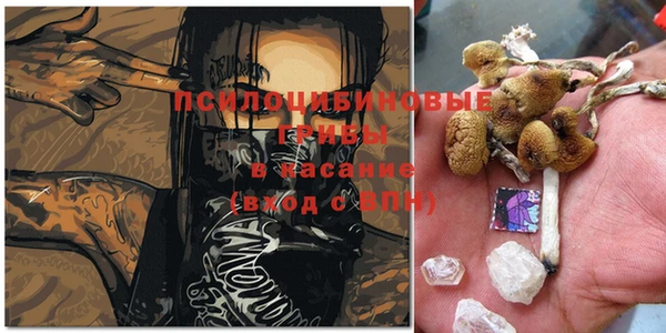 гидропоника Магадан