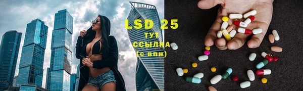 стаф Майский