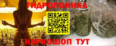 прущие крисы Жуковский