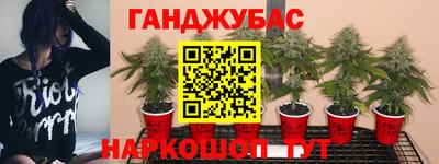 прущие крисы Жуковский