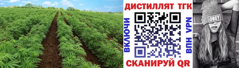 Дистиллят ТГК концентрат  Сарапул 