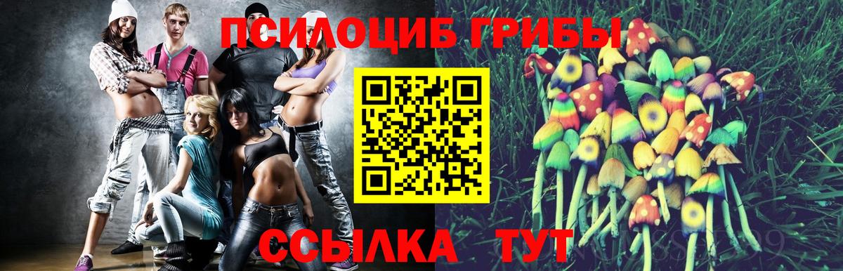 Галлюциногенные грибы Psilocybe Сарапул