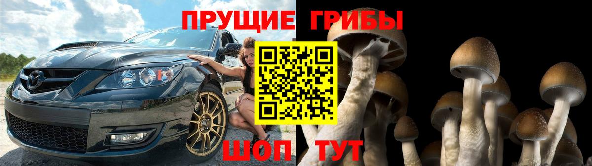 Бошки Шишки Сарапул